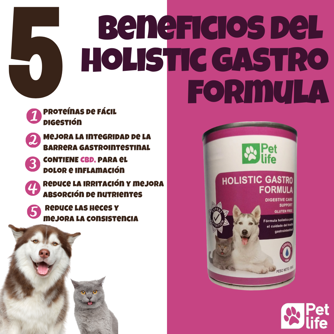 Holistic Gastro Formula
